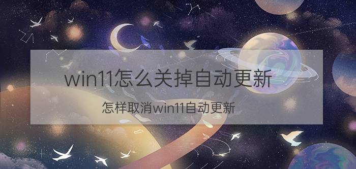 win11怎么关掉自动更新 怎样取消win11自动更新？